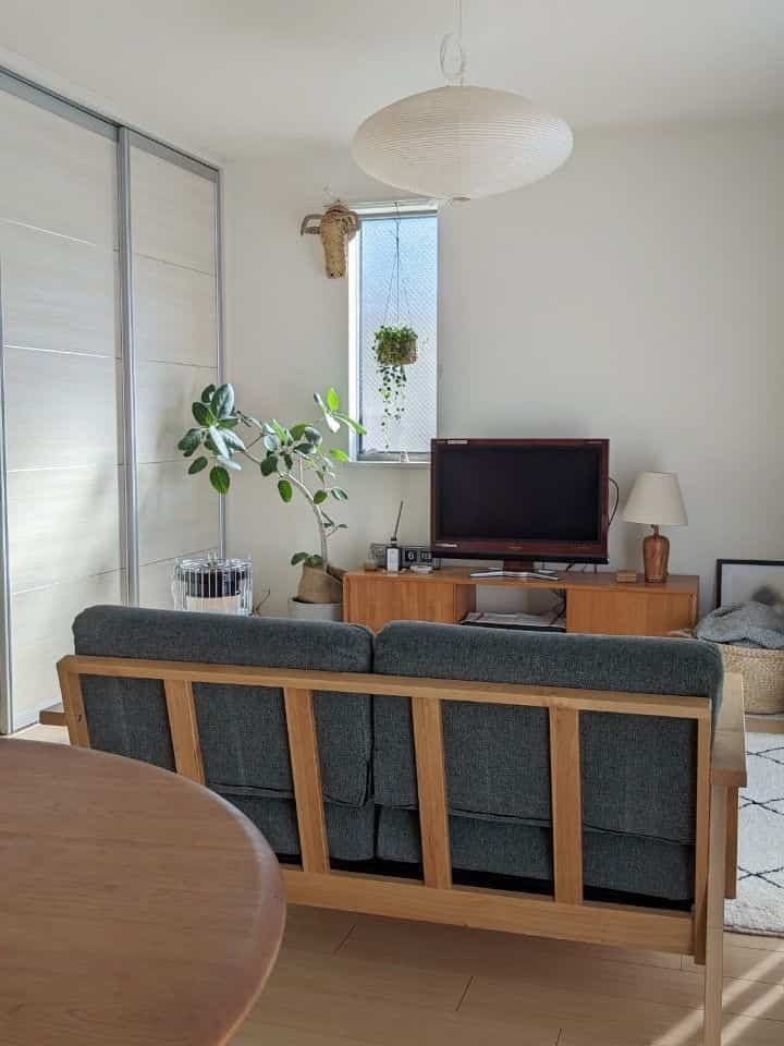Natural and white toned living room featuring wooden sofa and TV stand with leafy plants by the window creating a calm space