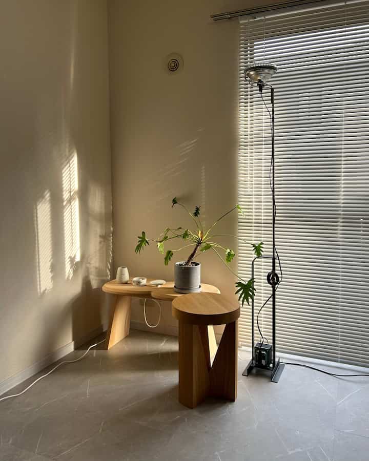 Bright natural color walls and wood tone furniture with a plant and floor lamp in a quiet, minimal space
