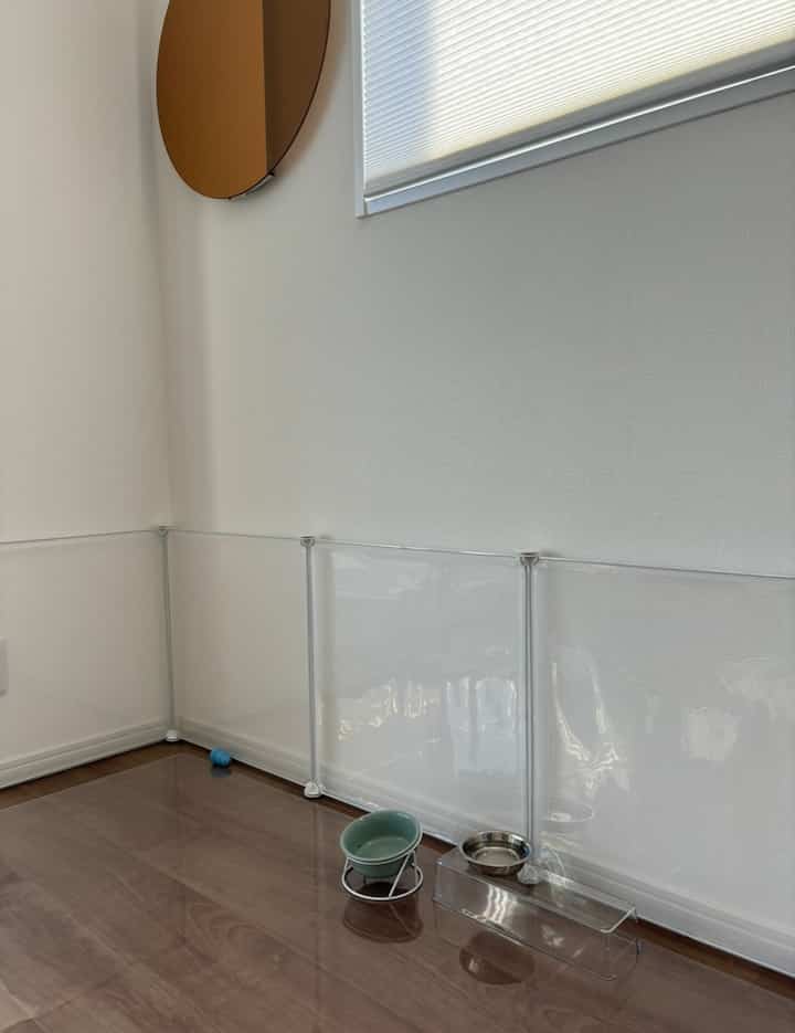 Bright living space with white walls and wood-tone flooring featuring a transparent pet fence and dog feeding bowls