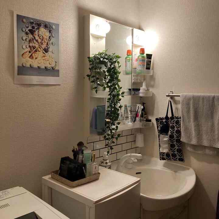 Washstand when living alone🧼
It tends to give a cluttered impression, so use fake green instead of curtains.
#Washstand interior #洗面台 #ひとり暮らし #一人暮らし部屋 #DIY