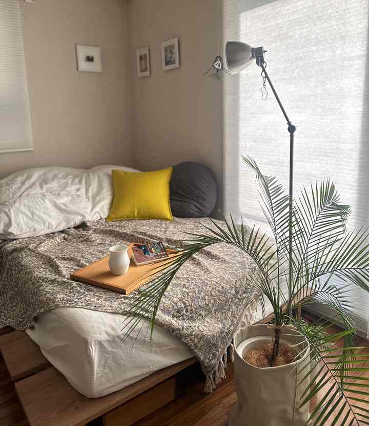 窓辺が暖かくなったので、部屋でいちばん日の当たる場所でごろーん📖☕️♡

#ベッドインテリア 
#マルチカバー