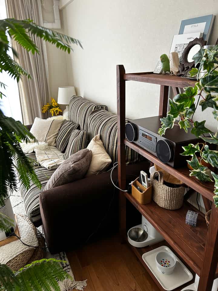 白い壁とブラウンの家具が調和するリビング、ストライプのソファと棚、観葉植物が配置された温かみのある空間