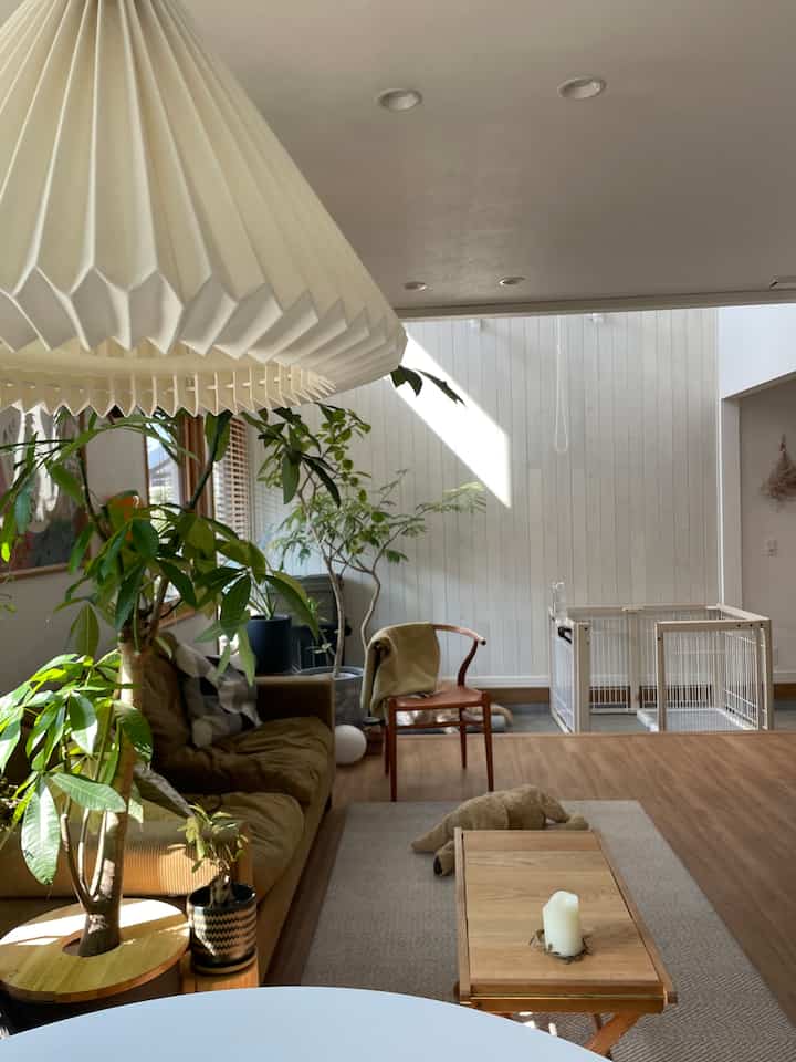 Natural wood-tone flooring and brown sofa in a living and dining room with large pendant light and plants creating a cozy atmosphere