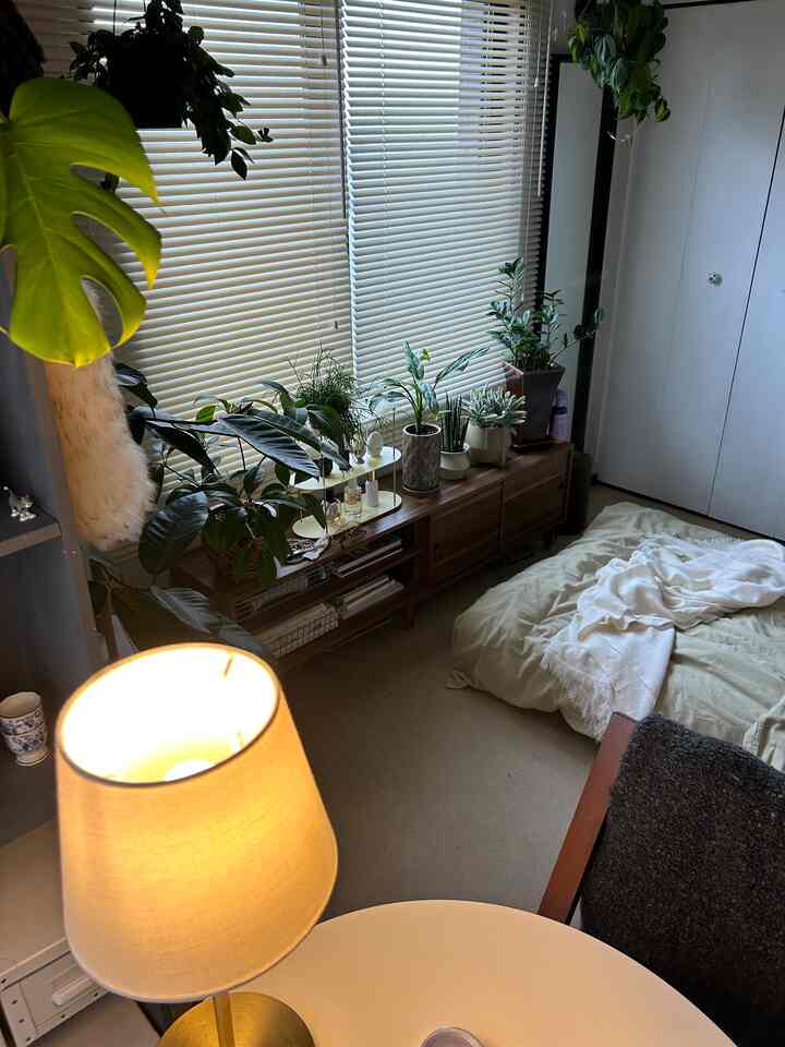 ベージュとナチュラルな色調のコンパクトなワンルームリビング、植物が置かれた木製テレビ台とテーブルランプがある温かみのある空間