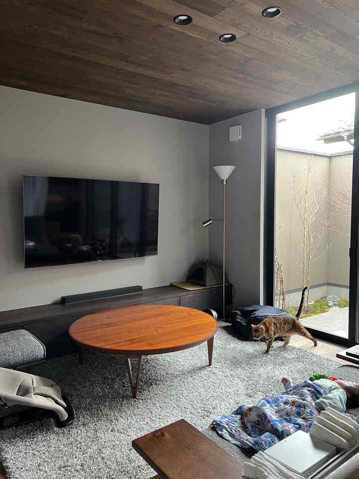 Natural-tone living room featuring a wooden oval coffee table and a large gray rug center with a baby lying on a blanket and a cat near the sliding door, cozy atmosphere