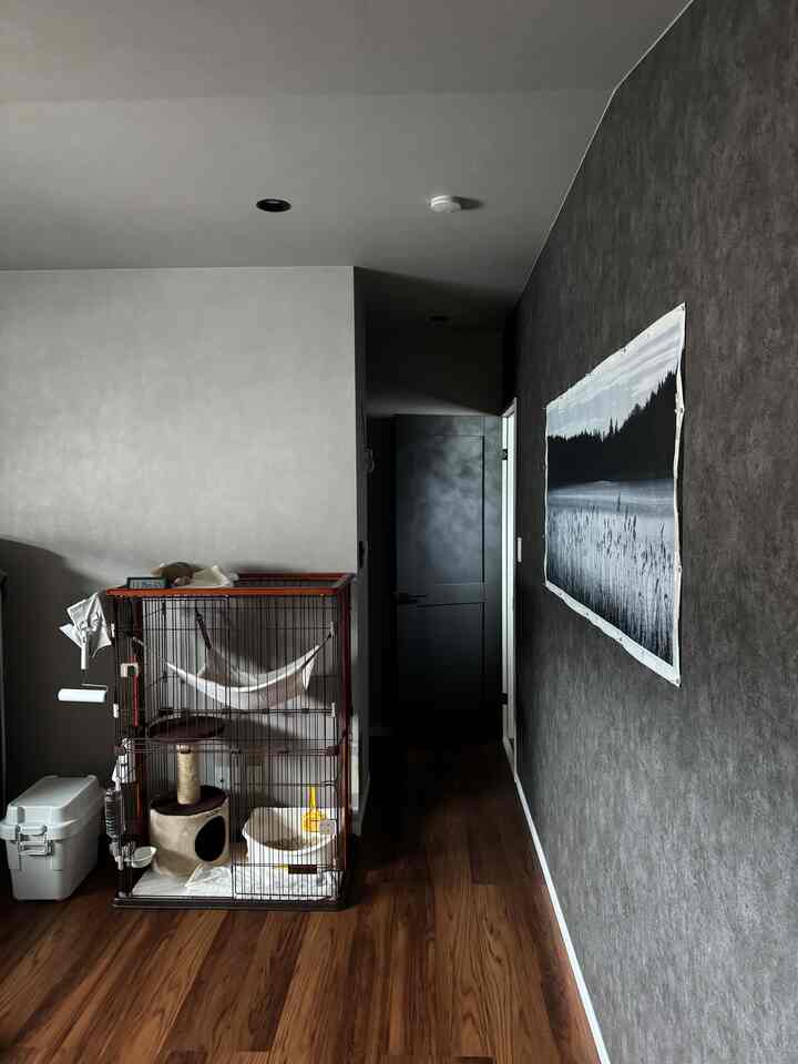 Bedroom with dark wood flooring and gray walls featuring a cat cage with a cat tower and litter box on the left, creating a cozy atmosphere
