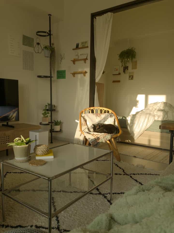 温かみのあるナチュラルカラーの1LDKリビング兼寝室、ラタンチェアに猫が休む印象的な空間