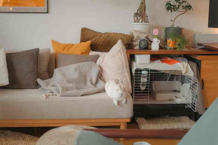 Beige-toned living room featuring a beige sofa with assorted cushions and a white rabbit, creating a warm and cozy atmosphere