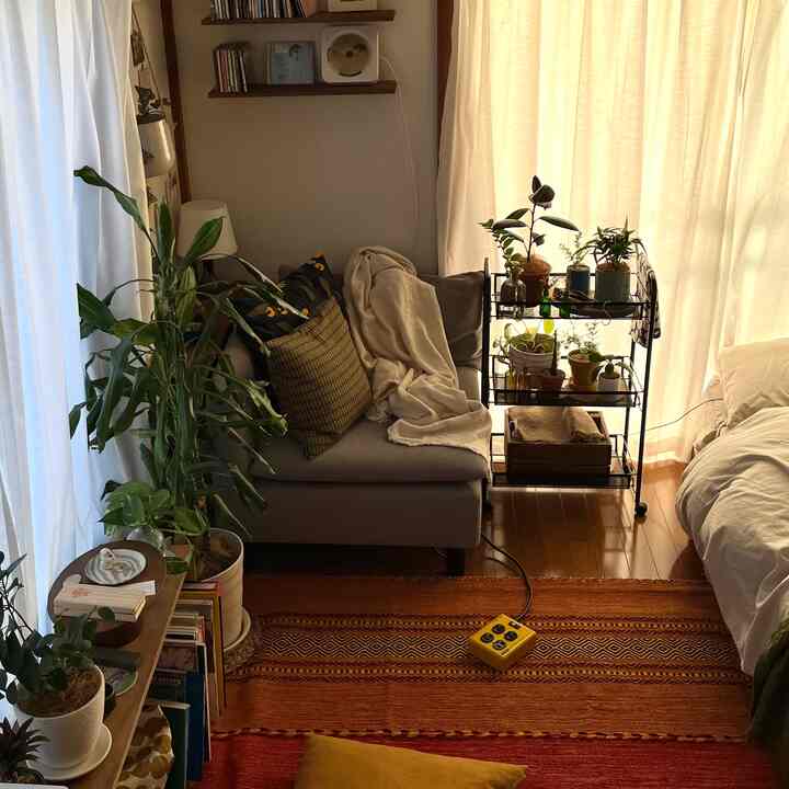 ベージュとナチュラル色調のコンパクトなワンルーム寝室、グレイのソファ、多層の植物棚、オレンジのラグが配置された雰囲気あるインテリア