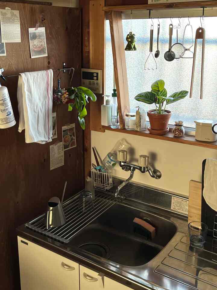 ナチュラルな色調のコンパクトなキッチン、ステンレスのシンクと窓辺の植物が配置された雰囲気のある空間