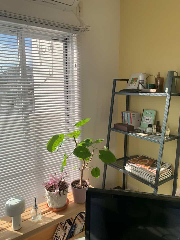 A home office space with white and yellow walls, featuring a desk with a monitor, shelves, and plants by the window, creating a cozy work environment