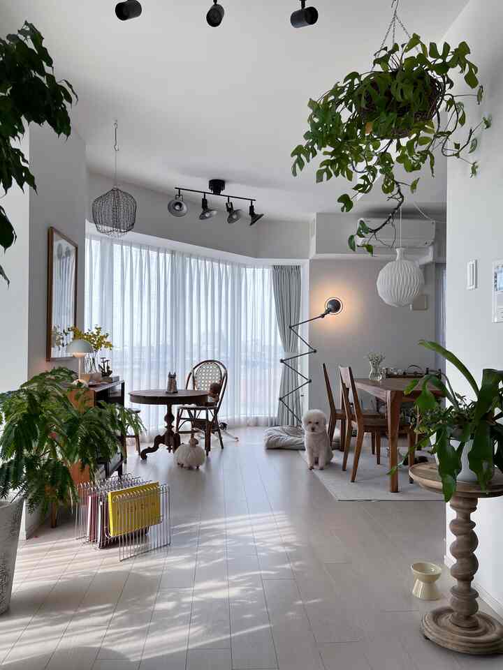 おすまし犬。
おすまししてたらオヤツが出てくると思っている。
もちろん出てくる。

#犬のいる暮らし #犬と暮らす #犬がいる暮らし #愛犬との暮らし #マンションインテリア #マンション暮らし #マンションリノベーション #リノベーション #中古マンション #中古マンションのリノベーション #マンションインテリア #cozy #cozyinterior #apartment #apartmentinterior #vintageinterior #homedecor