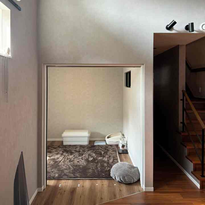 Natural-toned small room featuring a brown plush rug and cat supplies including litter box and pet cushion, creating cozy atmosphere