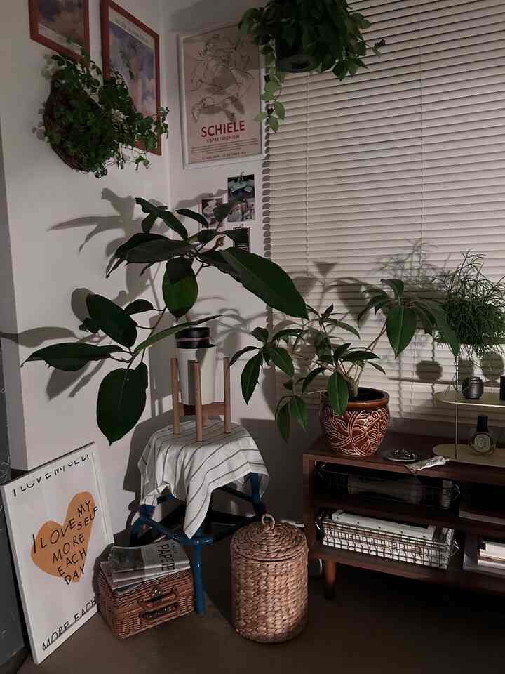 Cozy natural-style living room with brown and green tones, featuring wooden shelves, various plants, and posters