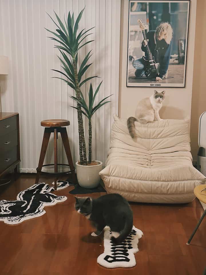Beige-toned living room featuring Mid-Century Modern sofa and stool, with two cats creating a warm atmosphere