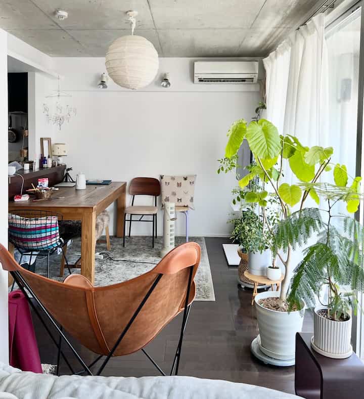 明るい白い壁にナチュラルな茶色の家具が調和したダイニングルーム、複数の観葉植物が配置された雰囲気のあるインテリア