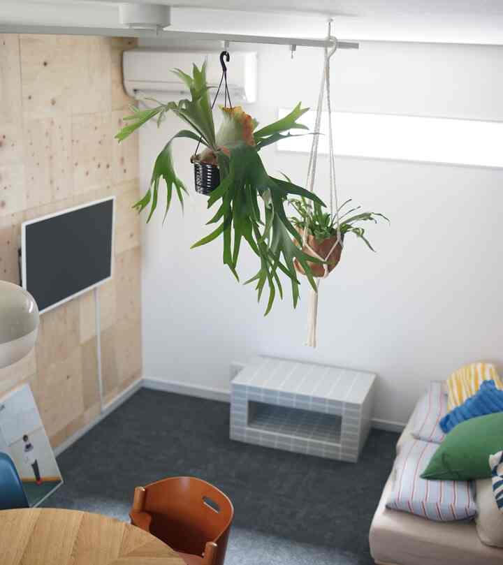 白い壁とグレーのカーペットがあるリビング、木製ダイニングテーブルとオレンジの椅子、ベージュのソファと植物が配置された自然な雰囲気のインテリア