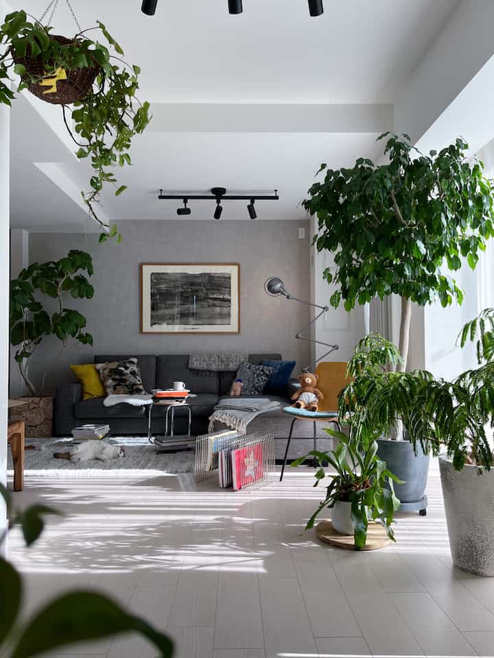 おはようございます。
この時期になるとグリーンが欲しくなる症状が現れます🌳
そしていつもキャパ超えるので無駄に枯らしてしまいます😭

#グリーンインテリア #観葉植物 #観葉植物のある暮らし #緑のある暮らし #花と緑のある暮らし #グリーンのある暮らし #植物のある生活 #植物インテリア #インドアグリーン #マンションインテリア #マンション暮らし #マンションリノベーション