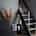 guri_noie