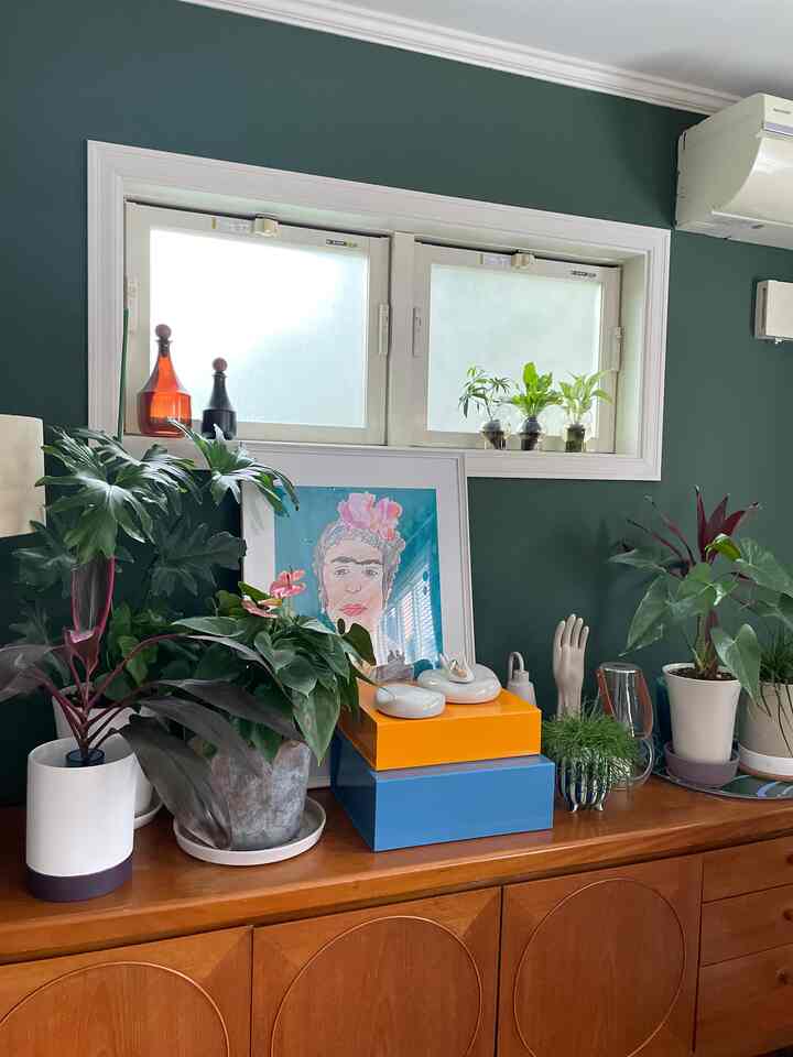 緑色の壁と植物が置かれた木製チェストがある暖かみのあるインテリア空間