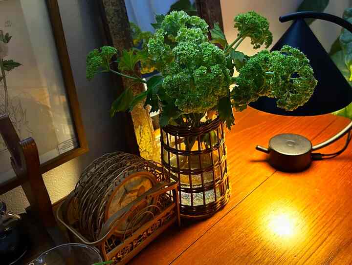 温かみのある木目調のダイニングテーブルに、ラタンの花瓶と鮮やかな緑の植物が置かれたナチュラルでヴィンテージな印象のダイニング空間