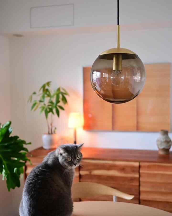 暖かみのあるブラウン調のダイニング空間、ペンダントライトとサイドボード、そして猫が配置された落ち着いたインテリア