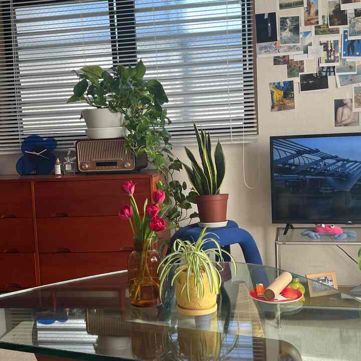 自然を感じさせるブラウン調のダイニングルーム、ガラスのテーブルに植物と赤いチューリップが配置された雰囲気のあるインテリア