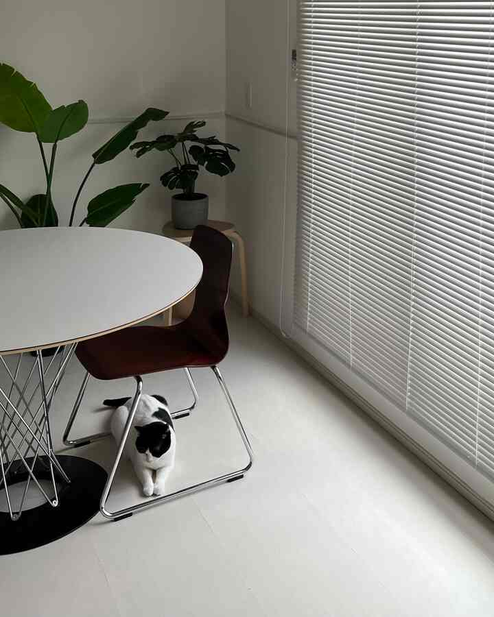 ホワイトトーンのリビング、丸いダイニングテーブルと椅子、ブラインドがあり、テーブルの下に黒白の猫がいるシンプルな空間