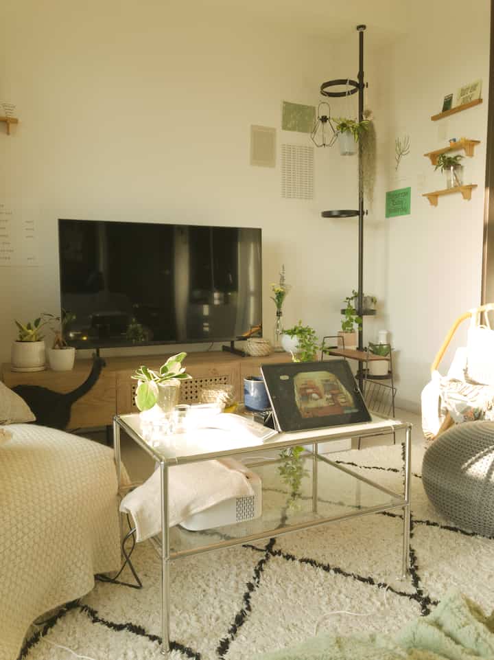 白い壁と木目調のテレビ台、ステンレス製のローテーブル、植物が配置されたナチュラルな1LDKリビング