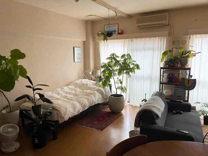 ベージュ系の落ち着いた一人暮らし用リビング兼寝室、自然の植物とシンプルな家具が配置された印象的な空間