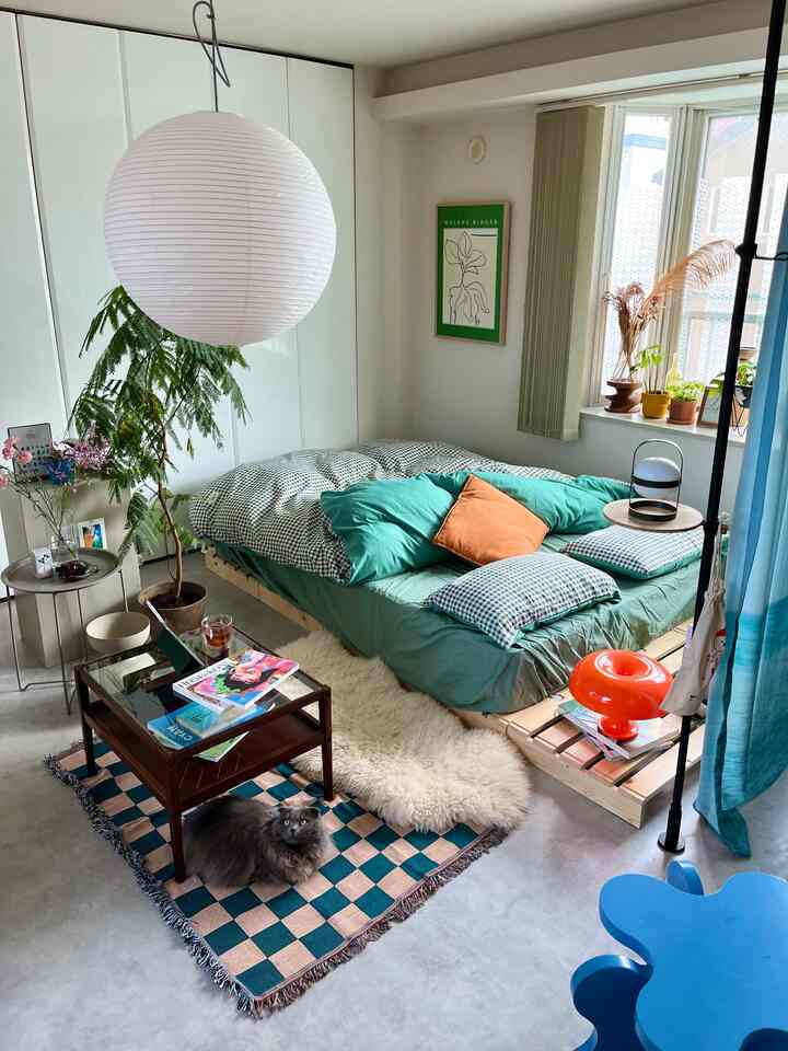 Natural-style bedroom with green and beige tones, featuring a pallet bed with checkered pillows, rugs on the floor, and a cat in the center foreground.