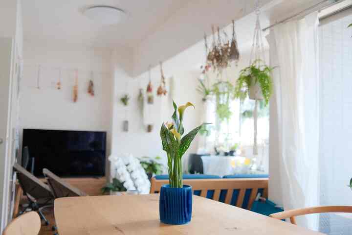 白と木目調の調和が取れたリビング、ネイビーのソファと多彩な植物が配置された雰囲気のあるインテリア