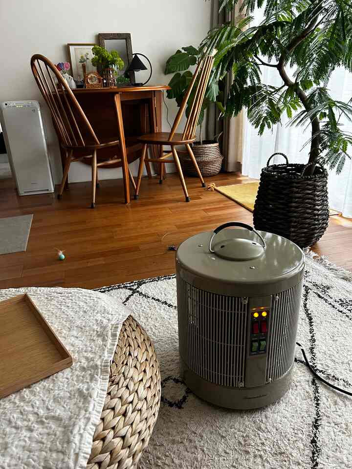 春らしく暖かくなったと思ったら、また寒い日が来てと温度調整が季節の変わり目は難しいです。
寝室で使っていた遠赤外線のヒーターをリビングまで持ってきて暖を取ります。

#リビング #暖房器具 #観葉植物