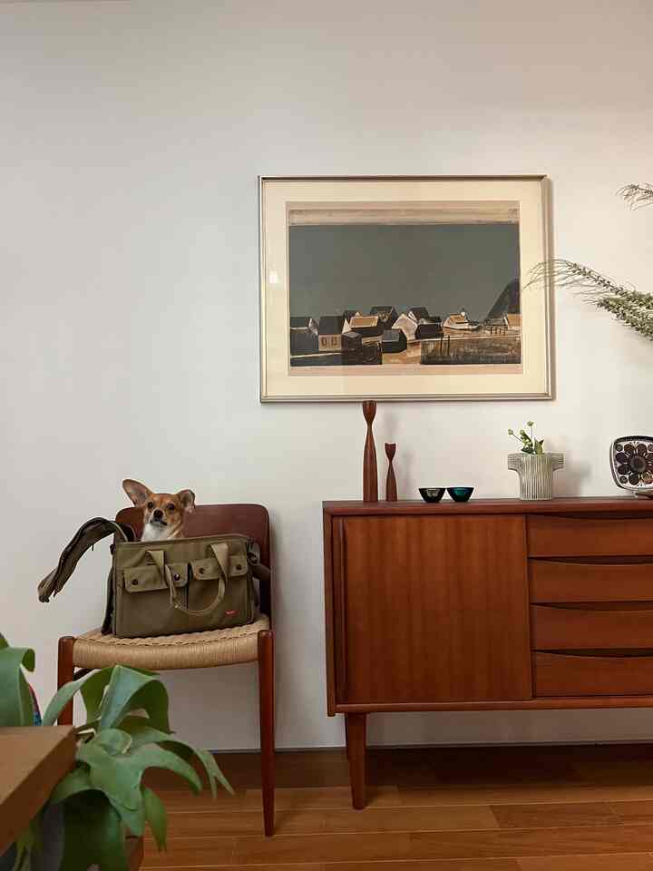 Natural brown toned living room featuring a wooden chair and sideboard, with a dog sitting inside a bag on the chair creating cozy atmosphere