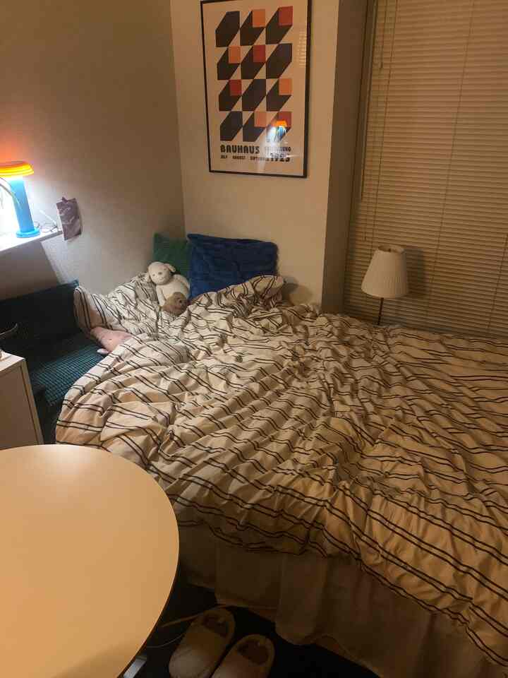 Beige-toned small bedroom featuring a bed with cushions and blanket creating cozy atmosphere