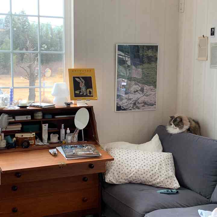 白とブラウンの色調の小さな寝室、ソファの上に猫が座り、窓際に木製の机が置かれた、自然光あふれる温かみのあるインテリア