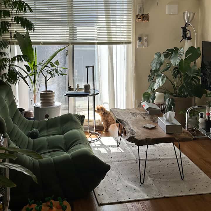 Green and wood tone living room with abundant plants, creating a natural and warm atmosphere
