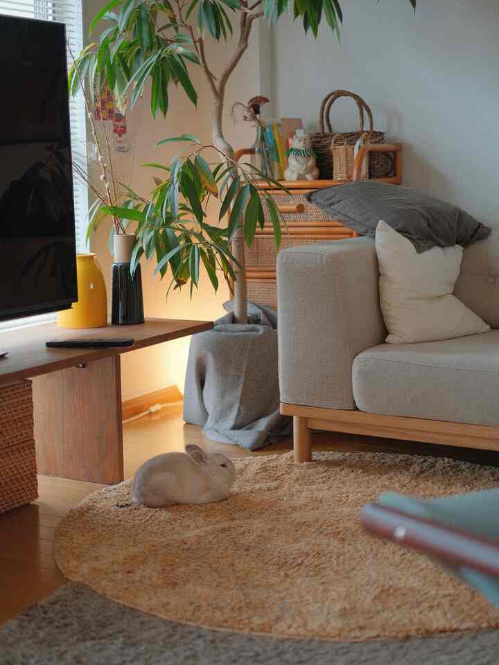 Beige and wood-tone living room featuring a sofa, green plant, round rug, and a pet rabbit creating a cozy natural atmosphere