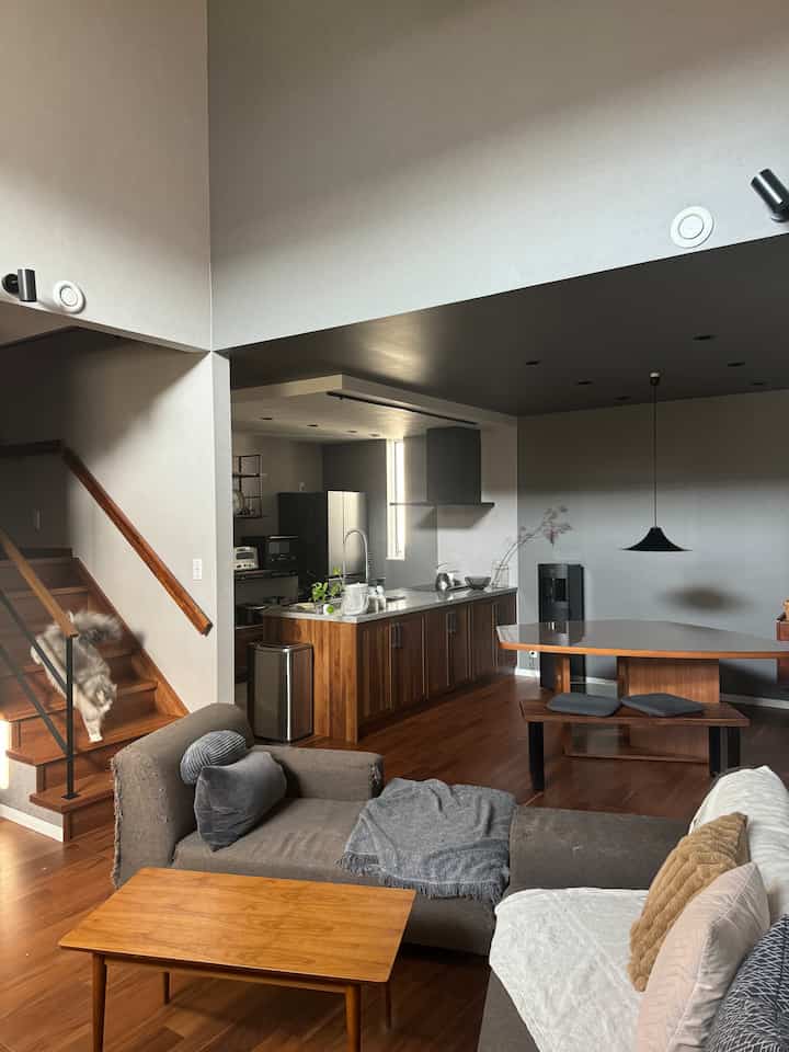 ナチュラルモダンなリビングとダイニングが融合した空間、階段を降りる猫がいる落ち着いた雰囲気のインテリア