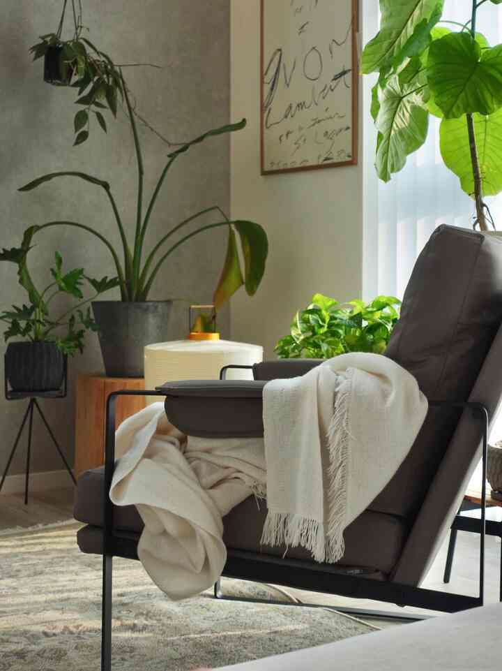 ナチュラルカラーのリビング、濃い茶色のソファとベージュのラグ、豊かなグリーン植物が配置されたシンプルで落ち着いた印象的な空間