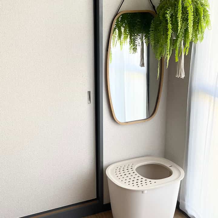 猫グッズ🐈シンプルに🤲
#猫グッズ #猫との暮らし