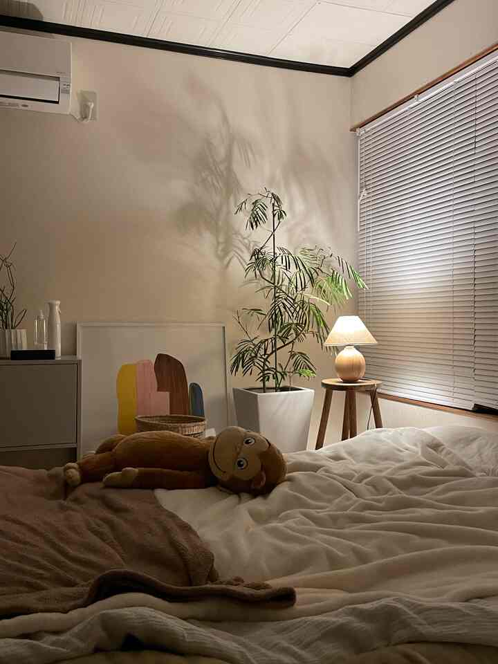 Beige and white toned bedroom featuring a low bed, indoor plant, and a table lamp creating a cozy atmosphere