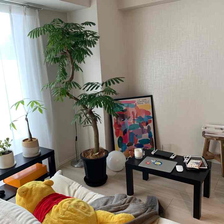 白とナチュラルトーンのリビング、観葉植物とカラフルなポスター、黒いソファーテーブルが配置された雰囲気のある空間