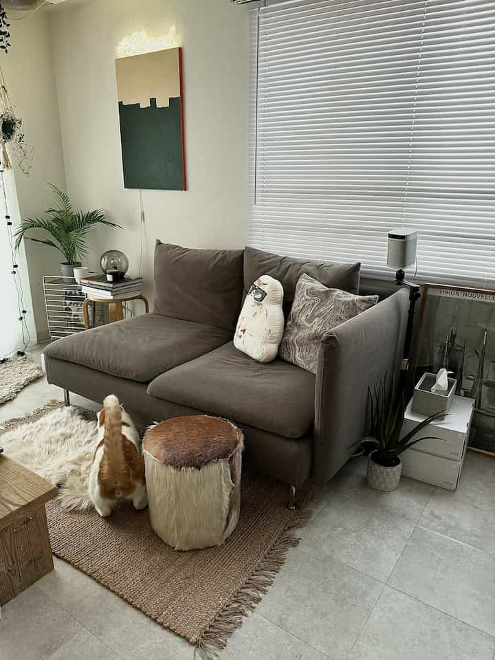 グレーのソファとベージュのラグが配置されたシンプルでモダンな一人暮らしのリビング、猫と共に過ごす温かみのある空間