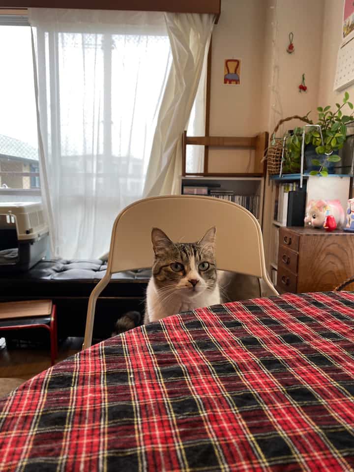 にゃおりんさんのインテリア実例写真