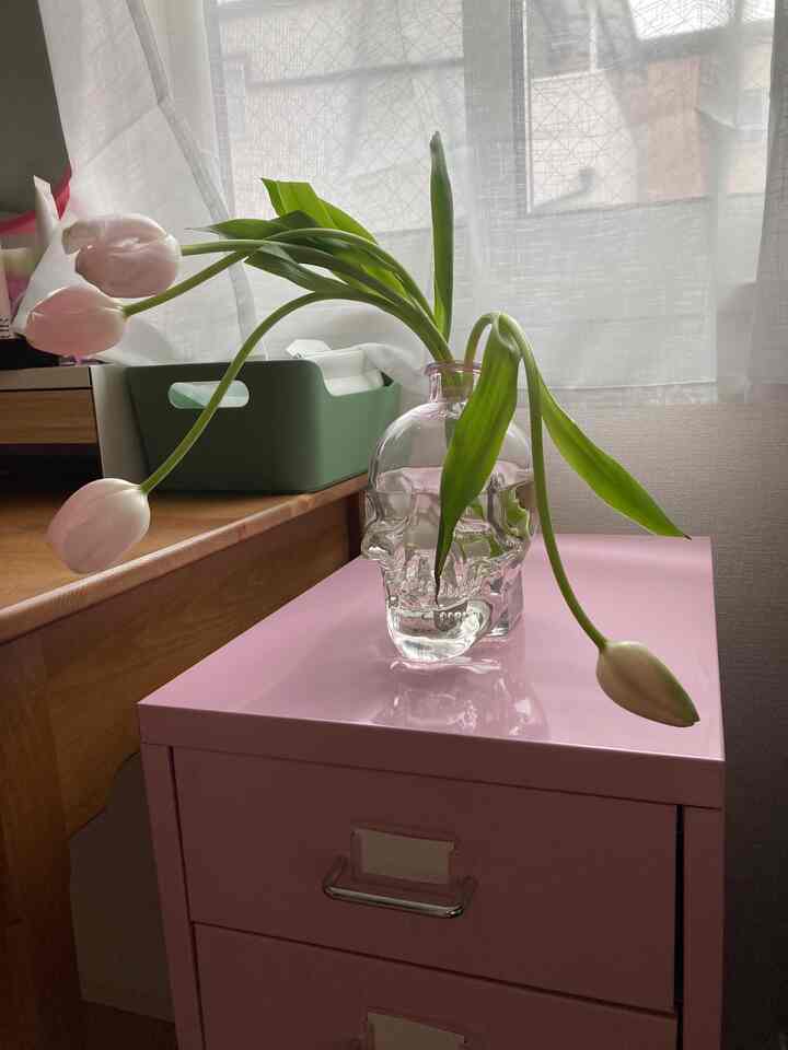 #お花のある生活 #春のお花 #IKEA照明  #ZARAHOME #H&MHOME  #IKEA家具 #ikea #ピンク #北欧 #北欧インテリア #カラフルインテリア
最近のお花💐