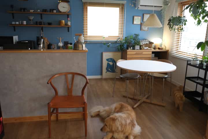 Blue-walled dining room with wood-tone furniture and pets, creating a cozy natural atmosphere