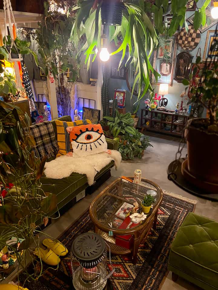 Mid-century modern living room with green sofa, eclectic vintage decor, and abundant leafy plants creating a cozy atmosphere