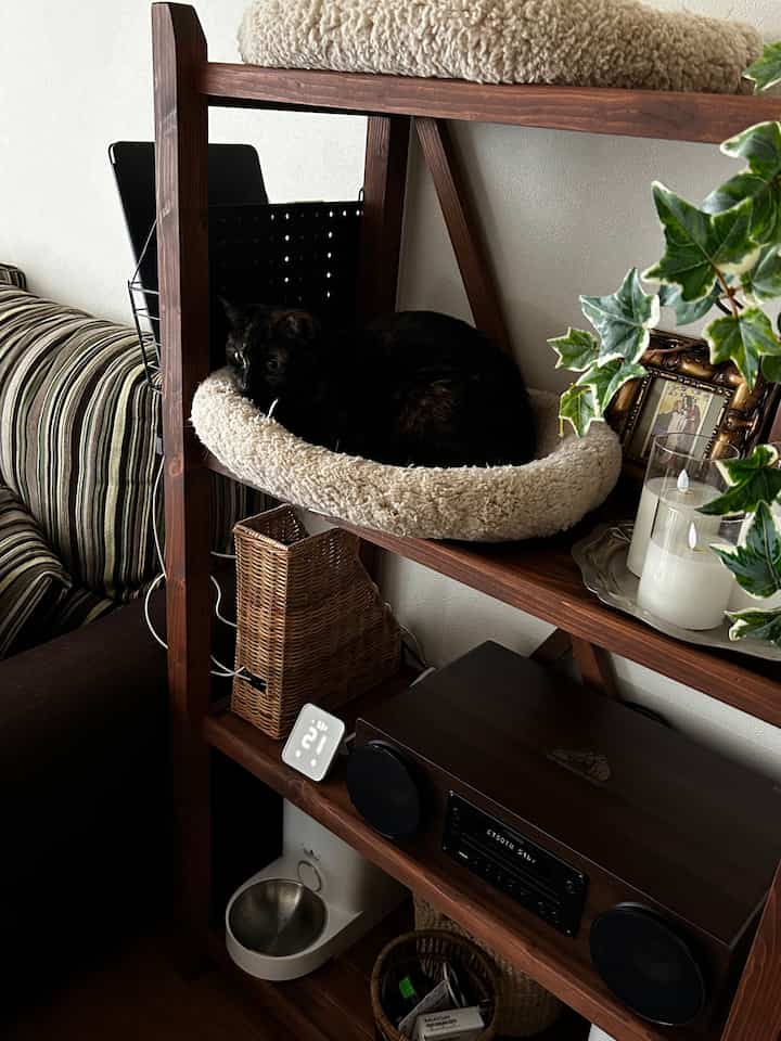 リビングの棚を少し改造して充電スペースを設けました。
IKEAのトルミスは、書類整理に使うものですけど、ちょうど良かったのでコンセント隠しに使ってます。

それから、猫がどうしてもビクターのミニコンポの上に乗ってしまうので、ベットを置くようにしました。
これがうまくいって、ベットでくつろぐようになりました🙌


#シェルフ #コンセント #リビング収納 #猫インテリア 