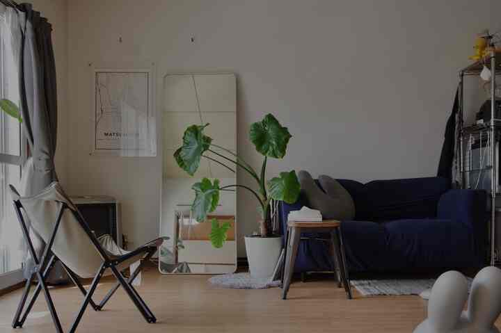 Natural-toned living room featuring a navy sofa and large green leafy plant